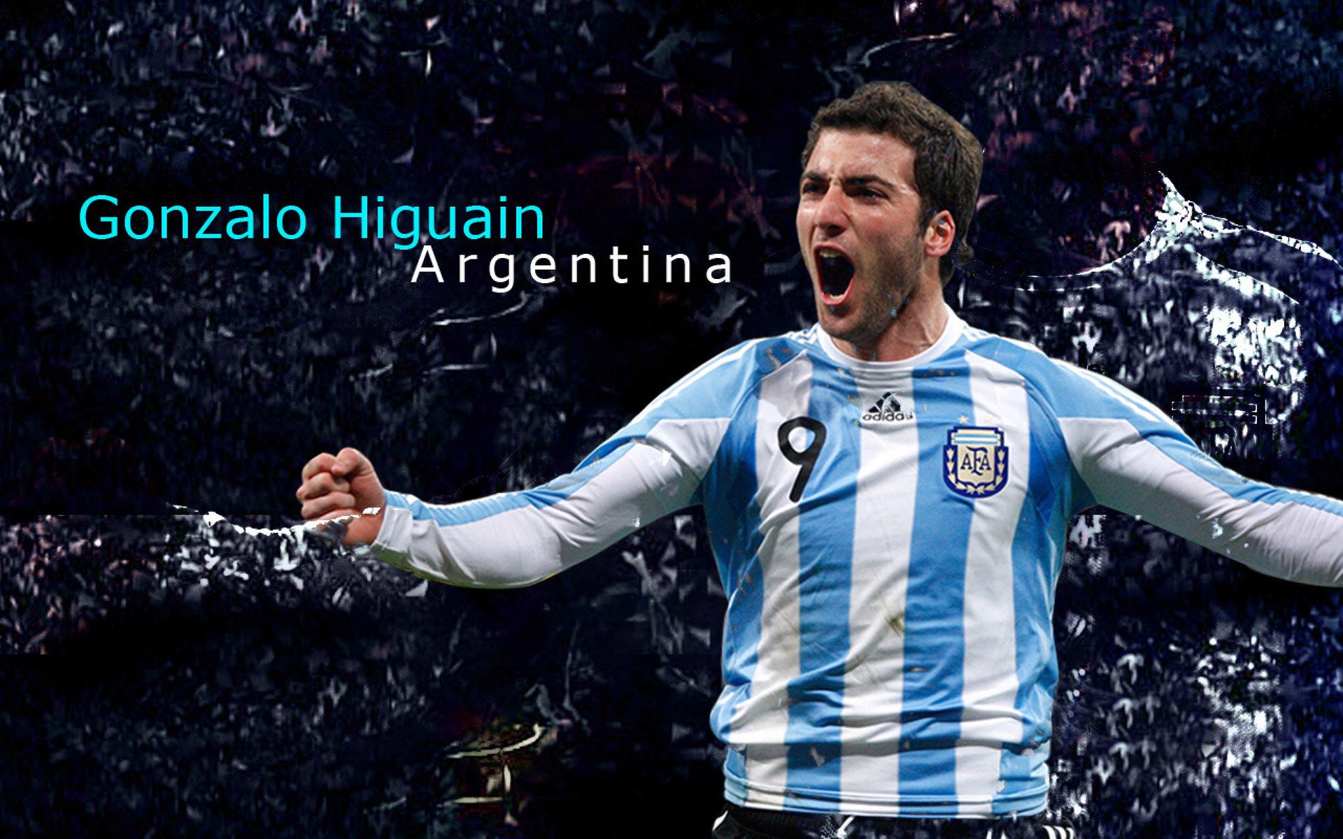 从伤病到重生，运动员康复之路的坚韧与希望