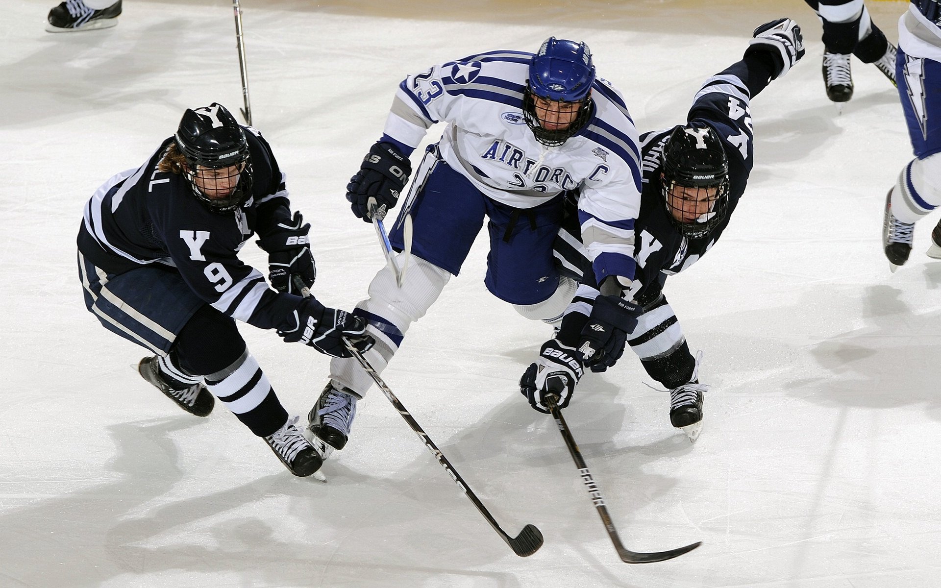 CBA季后赛激战正酣 辽宁本钢力克广东宏远迎开门红