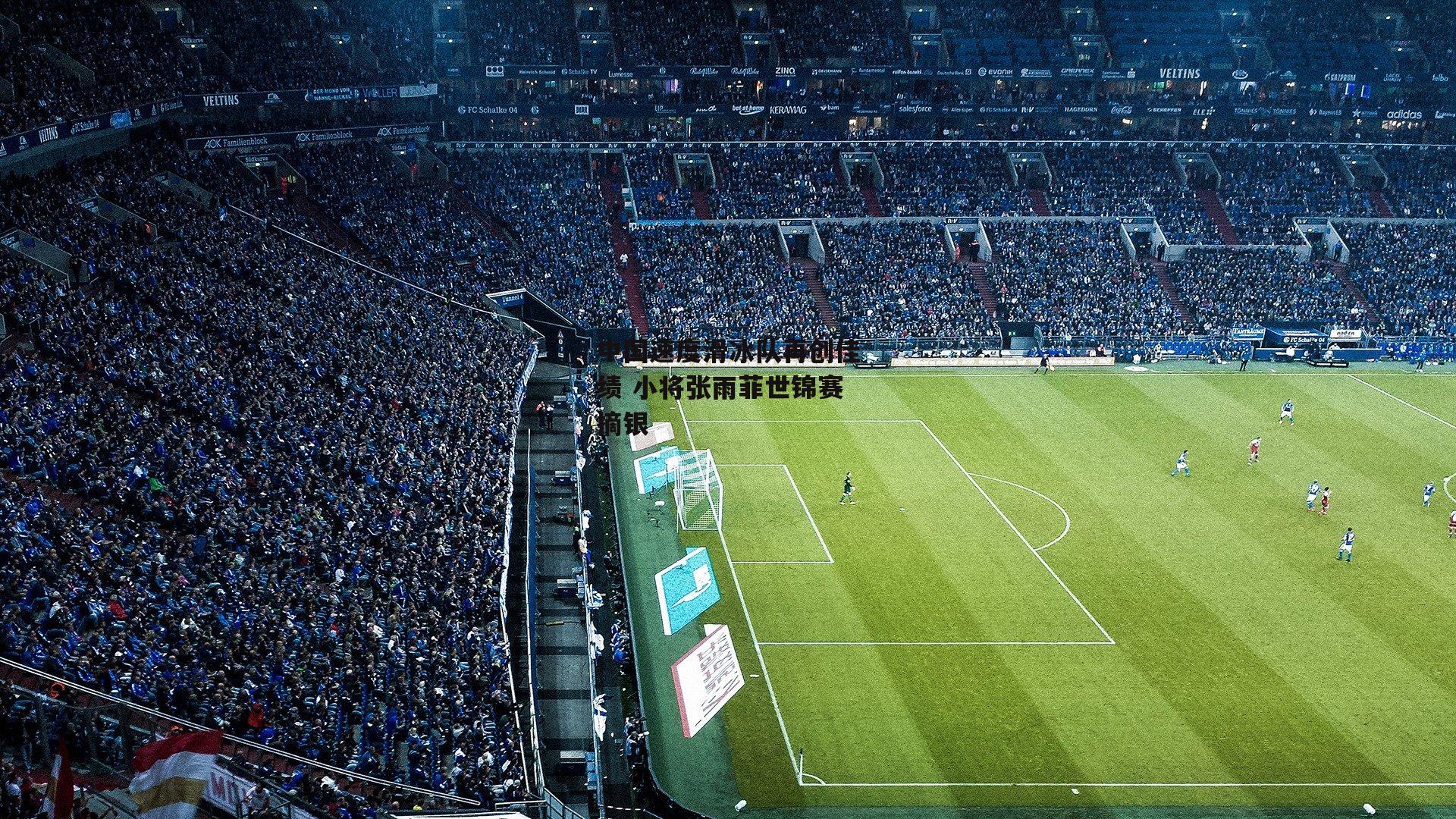 中国速度滑冰队再创佳绩 小将张雨菲世锦赛摘银