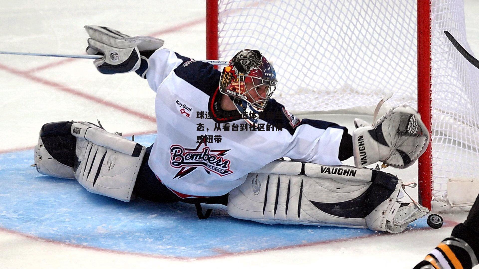 球迷文化塑造体育新生态，从看台到社区的情感纽带