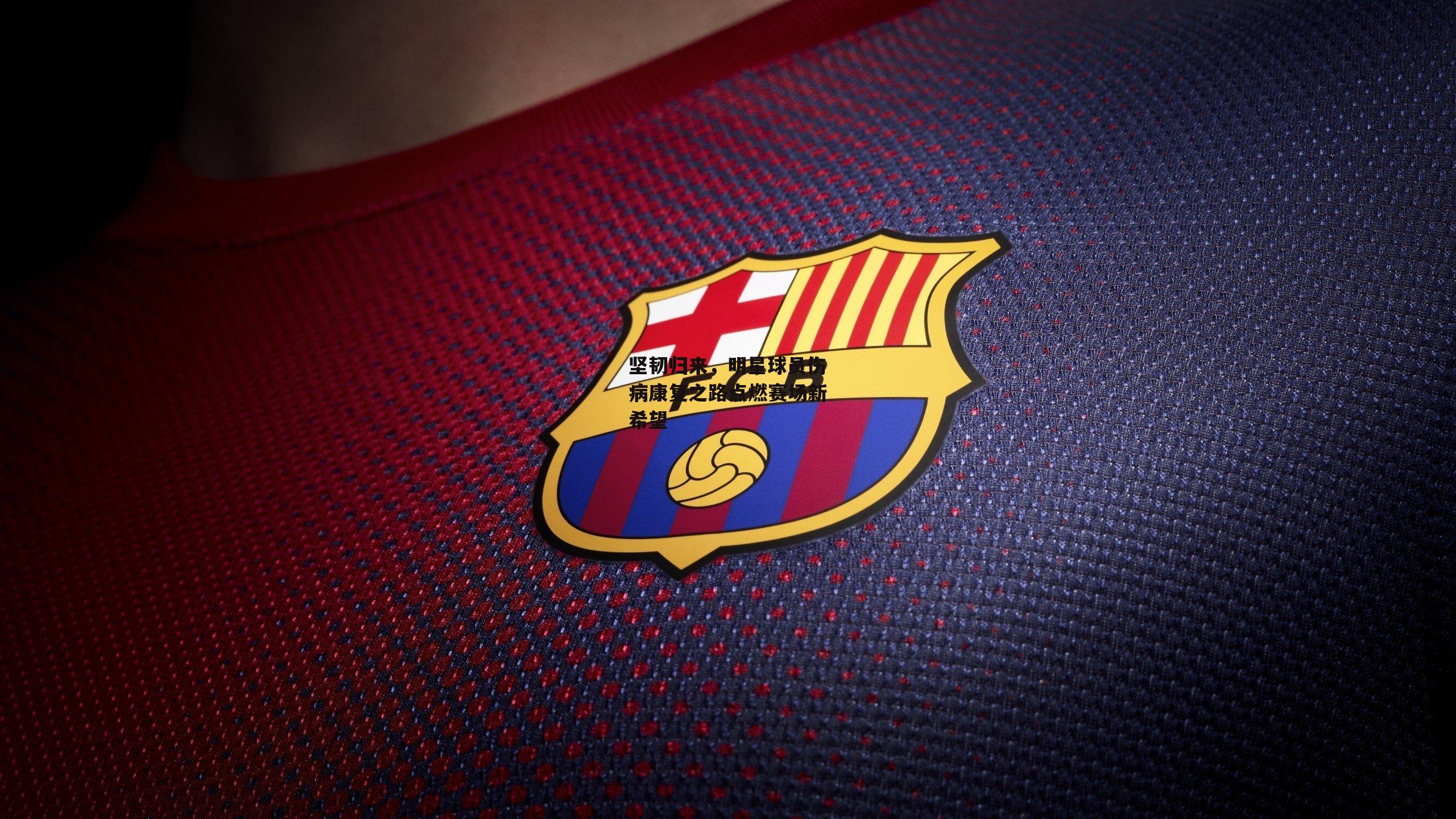 坚韧归来,明星球员伤病康复之路点燃赛场新希望