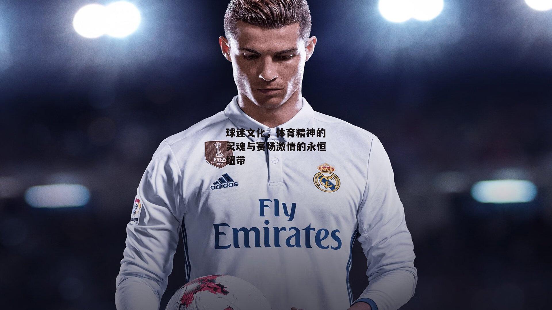 球迷文化，体育精神的灵魂与赛场激情的永恒纽带